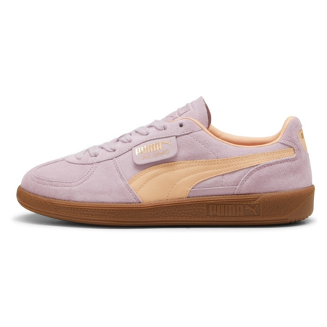 PUMA Nízke tenisky 'Palermo'  marhuľová / ružová