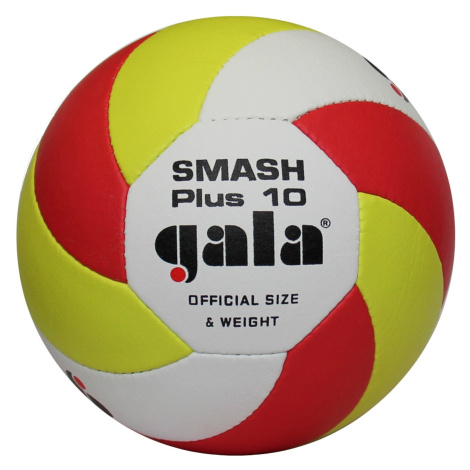 Volejbalová lopta GALA Beach Smash Plus 10 BP5163S