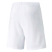 Pánske teamRISE Short M 704942 03 - Puma