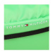 Tommy Hilfiger Ľadvinka Th Skyline Crossbody AM0AM11094 Zelená