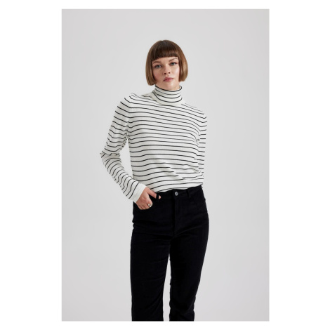 DEFACTO Regular Fit Turtleneck Basic Sweater