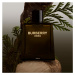 Burberry Hero parfém pre mužov