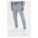 Trendyol Gray Men's 100% Organic Cotton Regular Fit Sweatpants
