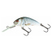 Salmo wobler hornet sinking real dace-3,5 cm 2,6 g