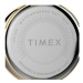 Timex Hodinky City TW2V24100 Zlatá