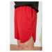 Trendyol Burgundy Men's Regular Fit Shorts &amp; Bermuda