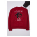 Trendyol Claret Red Oversize/Wide Cut Embroidered Detailed Fleece Inside Crew Neck Sweatshirt