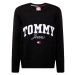 Tommy Jeans Sveter  námornícka modrá / červená / čierna / biela