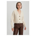 DEFACTO Regular Fit V-Neck Knitwear Cardigan