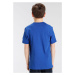 ADIDAS SPORTSWEAR Funkčné tričko 'Essentials 3-Stripes '  modrá / biela