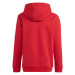 Adidas Tiro 23 League Sweat Hoodie Jr HS3607