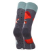 Veselé ponožky Dedoles Lienky a červené maky (GMRS208) L