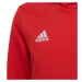 Detské futbalové tričko Entrada 22 Hoody Jr H57566 - Adidas