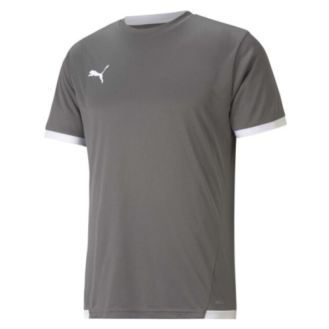 Puma TEAM LIGA JERSEY Pánske futbalové tričko, sivá, veľkosť