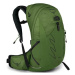 Batoh OSPREY TALON 22 Man green belt/black C02