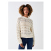 LC Waikiki Crew Neck Openwork Long Sleeve Women's Knitwear Sweater