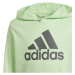 adidas BIG LOGO HOODIE Chlapčenská mikina, svetlo zelená, veľkosť