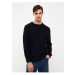 LC Waikiki Crew Neck Long Sleeve Men's Knitwear Sweater