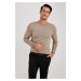 DEFACTO Regular Fit Crew Neck Sweater