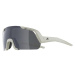 Alpina Sports ROCKET YOUTH Slnečné okuliare, sivá, veľkosť