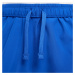 NIKE Športové nohavice 'Challenger'  kráľovská modrá / striebornosivá