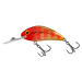 Salmo wobler rattlin hornet floating golden red head - 5,5 cm 10,5 g