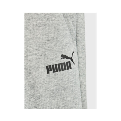 Puma Teplákové nohavice Essentials Logo 586973 Sivá Regular Fit