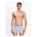 Calvin Klein Underwear Súprava 2 kusov boxeriek 000NB3544A Farebná