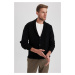 DEFACTO Standard Fit Shawl Collar Cardigan