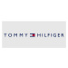 Tommy Hilfiger Billford M Peňaženka AM0AM05497 univerzita