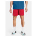 Šortky Under Armour UA Baseline Short-RED