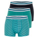 Trendyol 3-Piece Green-Navy Blue Striped-Plain Mix Cotton Boxer