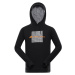 Men's cotton hoodie ALPINE PRO SEGIUS black variant pb