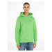 Light Green Mens Sweatshirt Tommy Hilfiger Curve Logo - Men