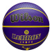 Wilson NBA Player Icon LeBron James