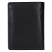 Pánska kožená peňaženka Lagen Liam - čierna
