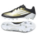 Topánky adidas F50 Club Messi FxG M IG9331