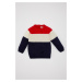 DEFACTO Baby Boy Crew Neck Color Block Sweater