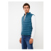 LC Waikiki Standard Mold Stand Collar Men's Puffer Vest