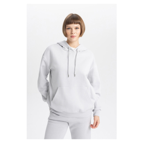 DEFACTO Relax Fit Hooded Kangaroo Pocket Thick Basic Plain Gray Sweatshirt