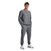 Under Armour Teplákové nohavice UA Essential Fleece Jogger 1373882 Sivá Regular Fit