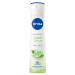 NIVEA Sprej AP Fresh Citrus 150ml