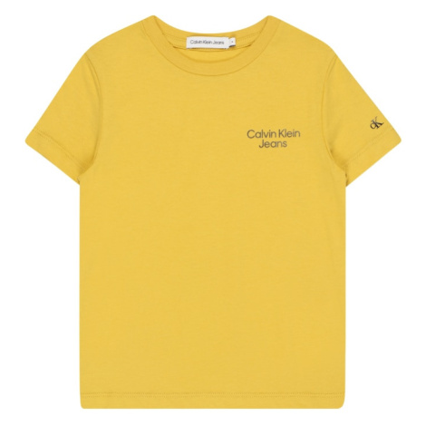 Chlapčenské tričká Calvin Klein