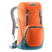 Deuter Walker 24 (3812921) paprika-arctic