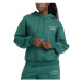 New Balance  GRAPHIC FLEECE HOODIE  Mikiny Zelená