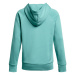 Under Armour Rival Flecce Hoodie W 1379500 482