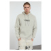 Trendyol Stone Oversize/Wide Cut Text Embroidered Hooded Fleece Inside/Warm Sweatshirt