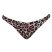 Funkita some zoo life hipster brief xs - uk30