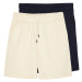 Trendyol Navy Blue-Stone Basic Regular Cut 2 Pack Shorts