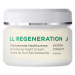 Annemarie Börlind LL REGENERATION System Vitality Regeneračný nočný krém 50ml - Annemarie Börlin